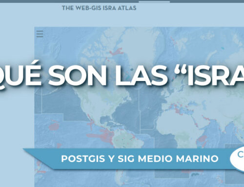 Qué son las “Important Shark and Ray Areas” (ISRA)