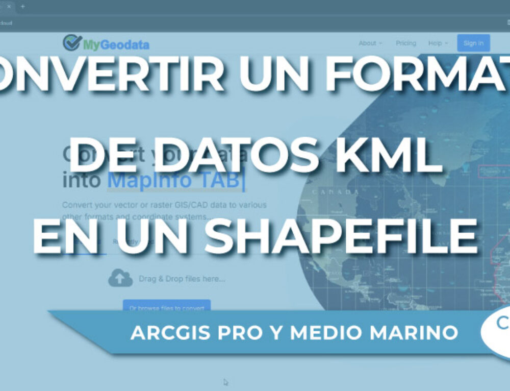 Cómo instalar Pandas en Visual Studio Code