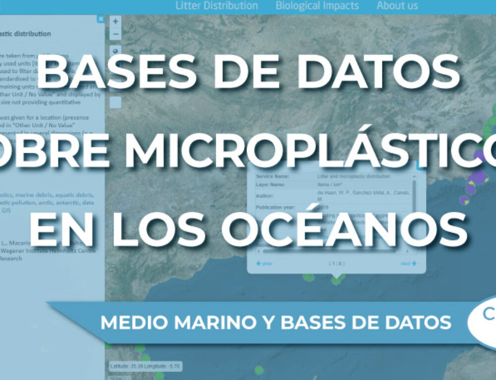 Cómo instalar Pandas en Visual Studio Code